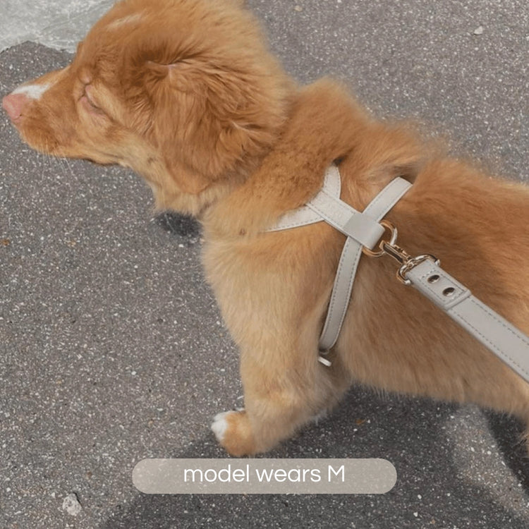 Harnais en cuir végétal - Taupe