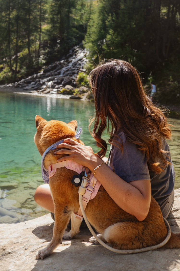 Woman sitting by a lake with a dog, surrounded by nature
