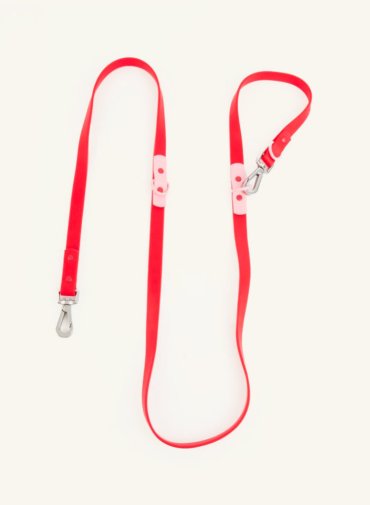 La laisse Fritz – Cherry