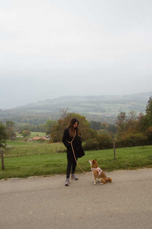 Laisse mains libres convertible 4 en 1 – Chai