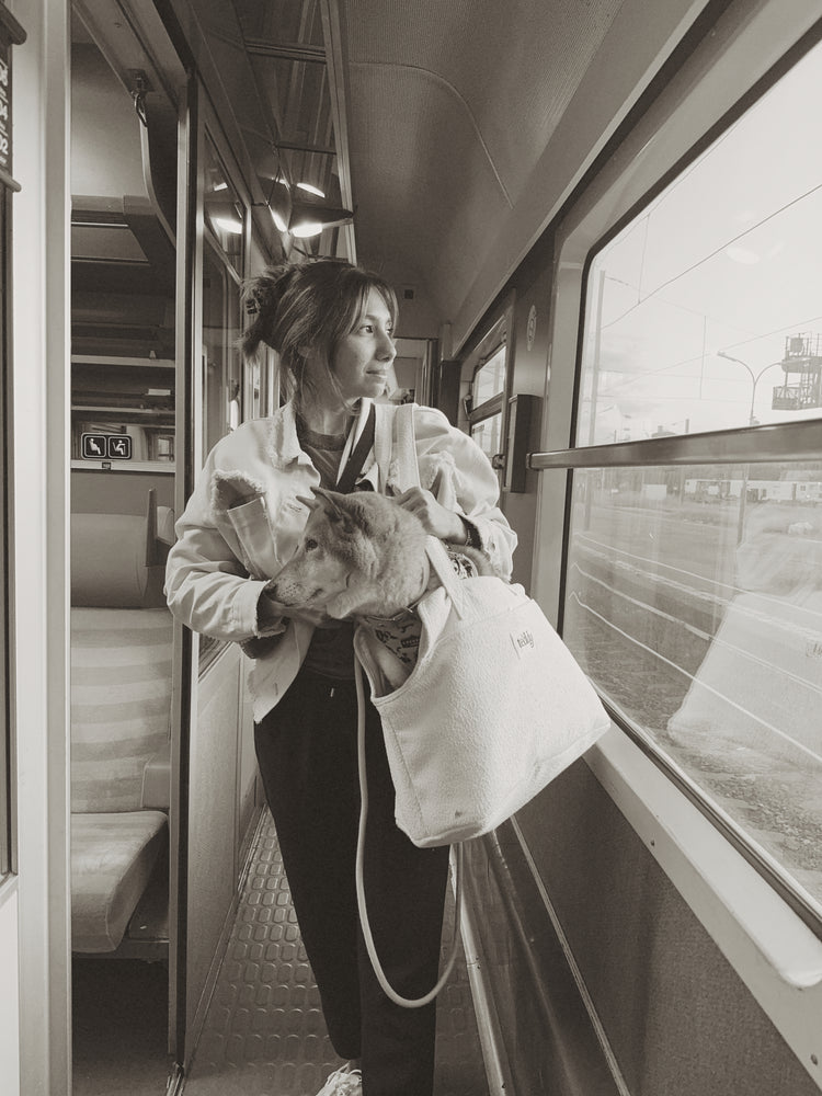 Person holding a dog in a bag on a train