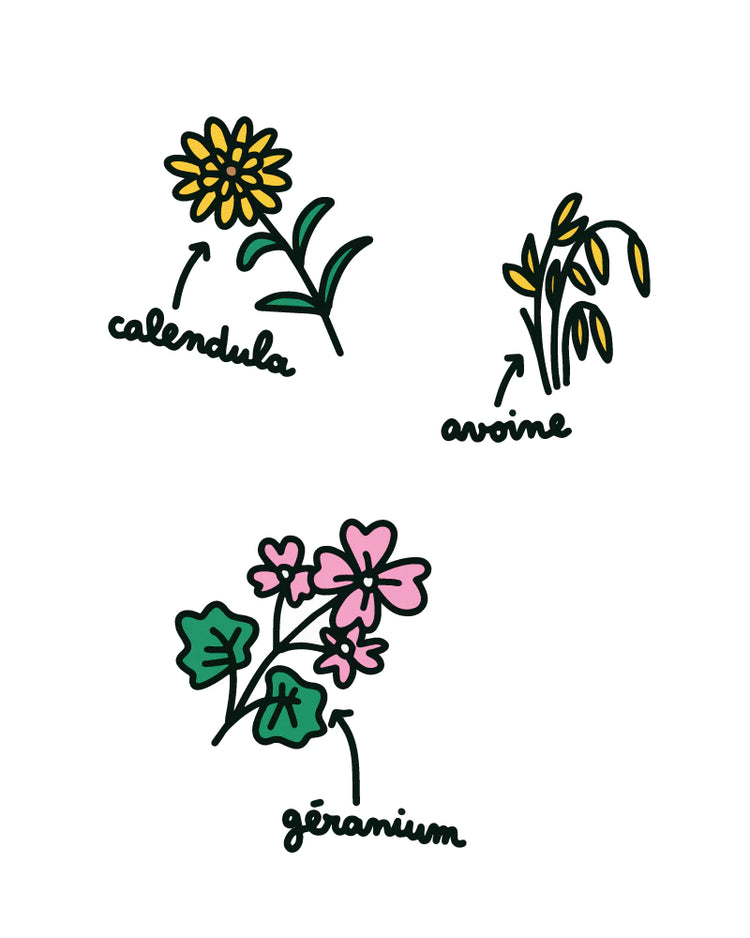 Certified Organic Dry Shampoo