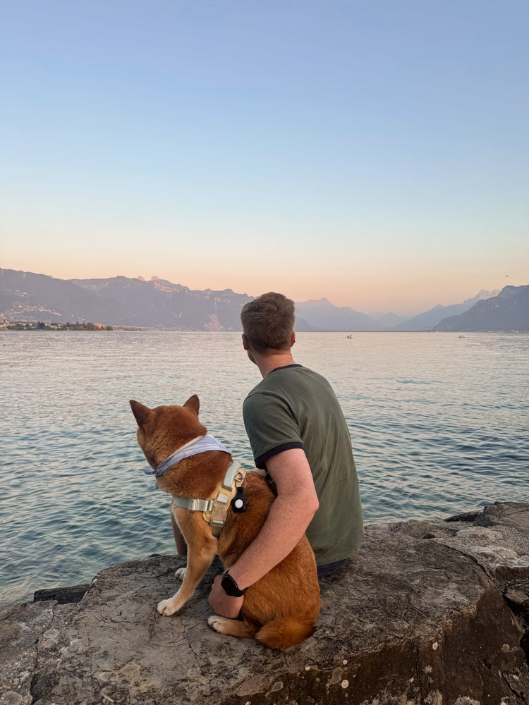 Man and dog sitting on a rock by a lake with mountains in the background