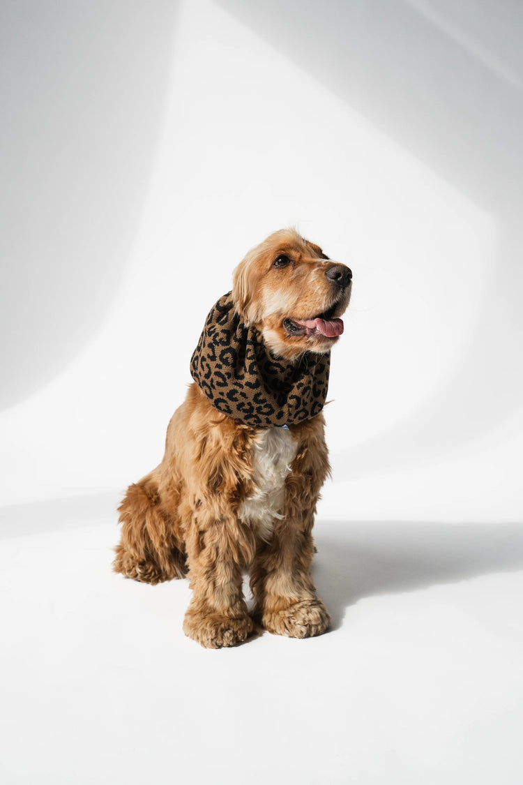Knitted Snood Animal Print