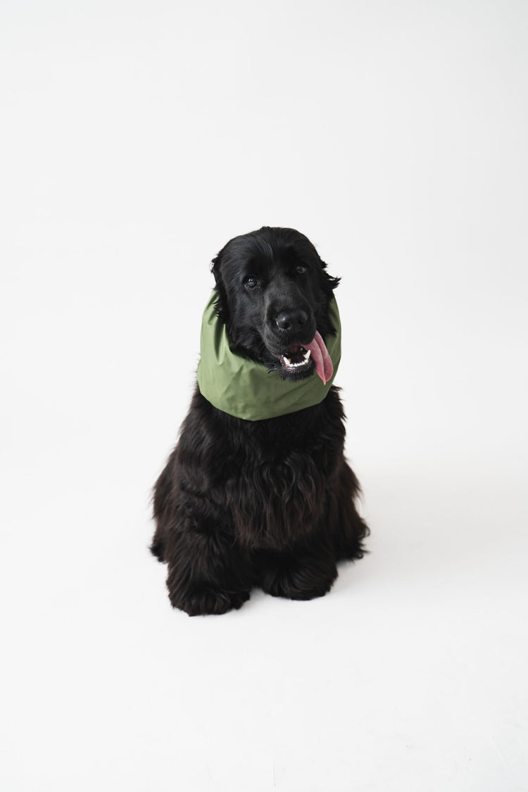Dog Snood Waterproof – Green