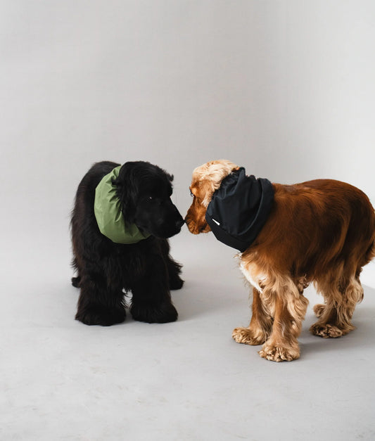 Dog Snood Waterproof – Black