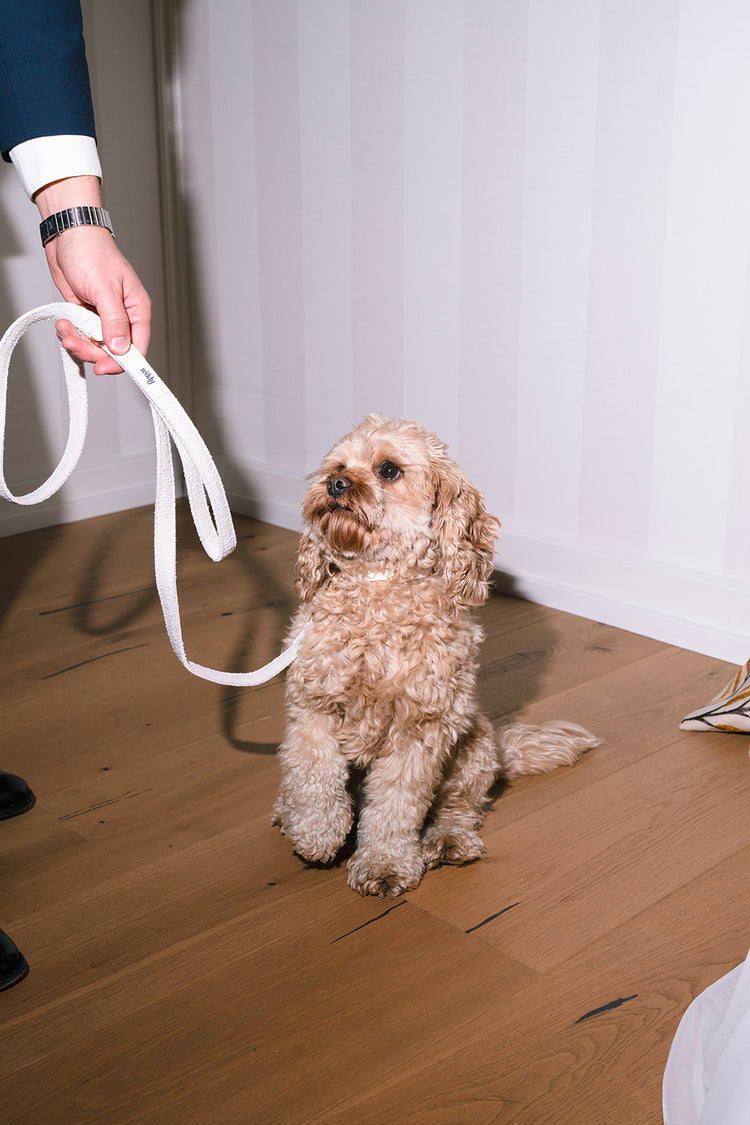 Bouclé Guinzaglio – Marshmallow