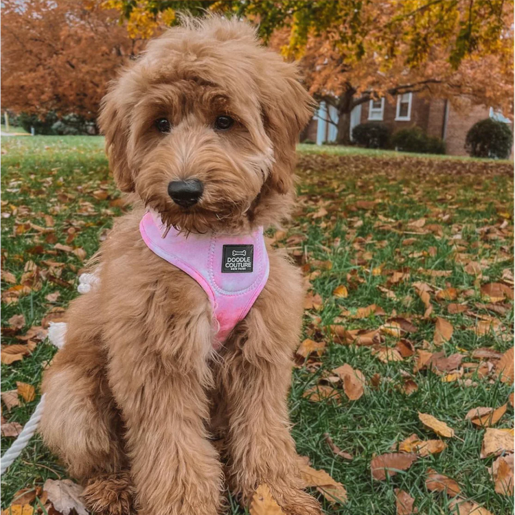 Tie & Dye Pink harness - Kitsune & Jo