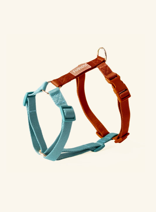 Blue and Clay Harness