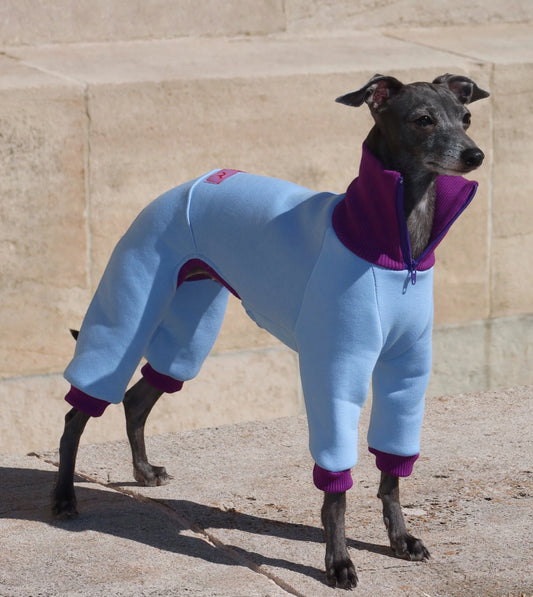 Ivy Suit – Misty Plum & Sky Blue