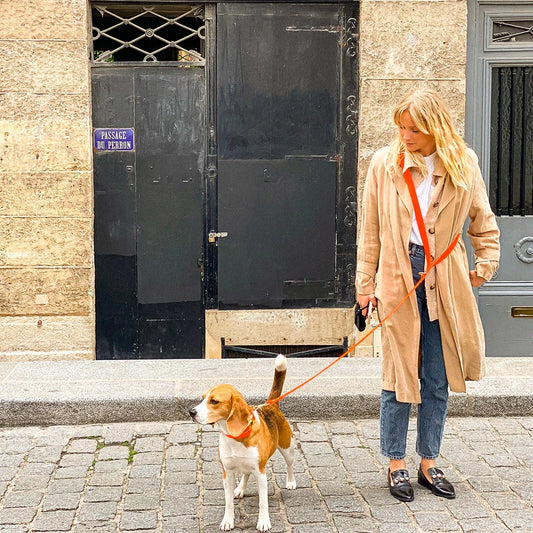 Woman walking a dog on a leash in an urban setting