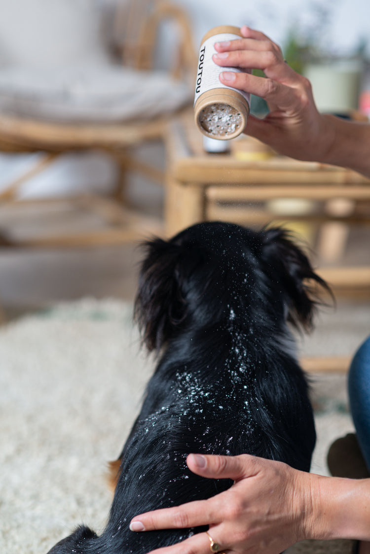 Certified Organic Dry Shampoo