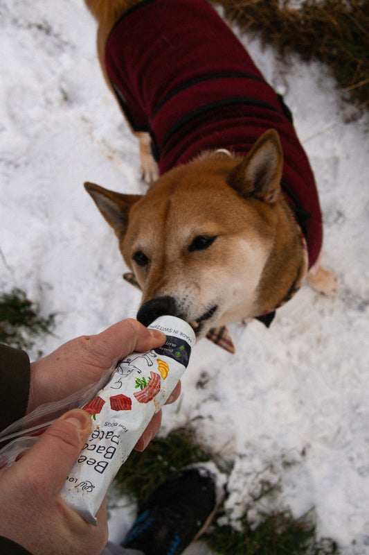 Beef and Bacon Organic Dog Paté