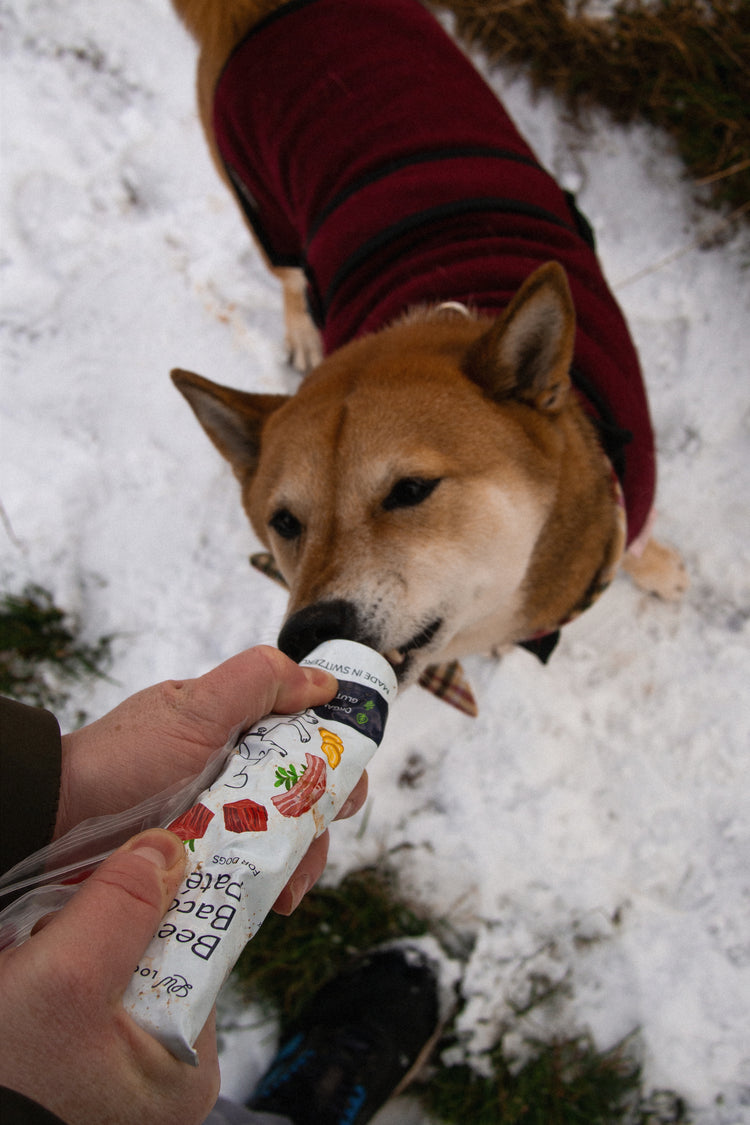 Beef and Bacon Organic Dog Paté