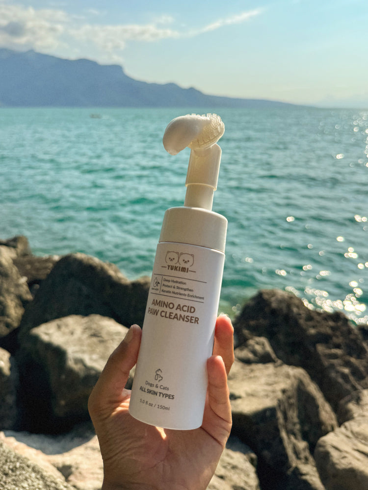 Amino Acid Paw Cleanser
