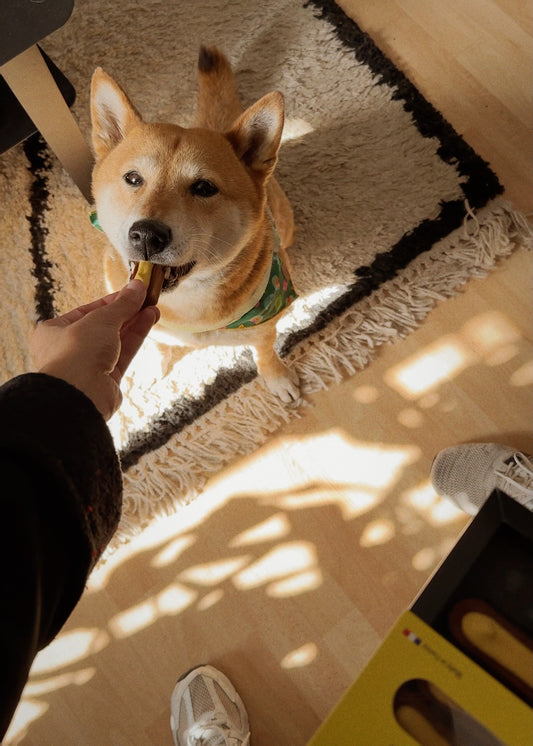 Box of 7 Moelleux - Vitality