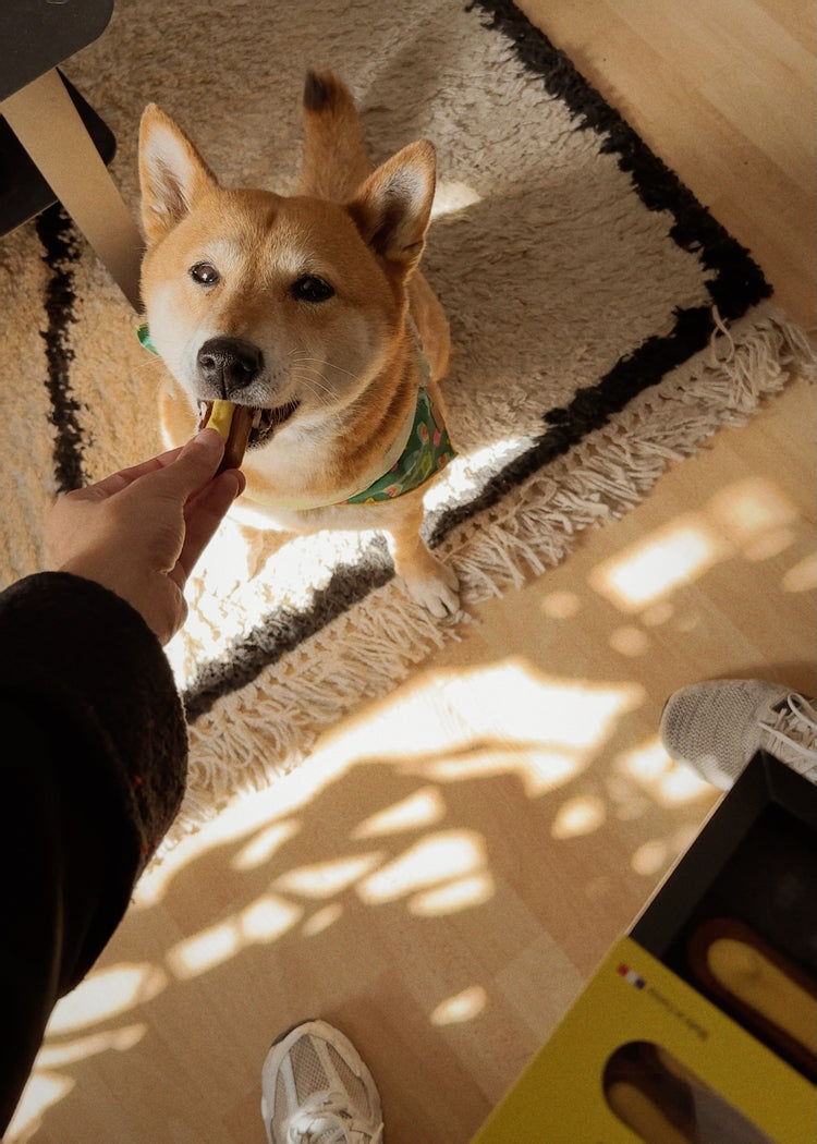 Box of 7 Moelleux - Vitality