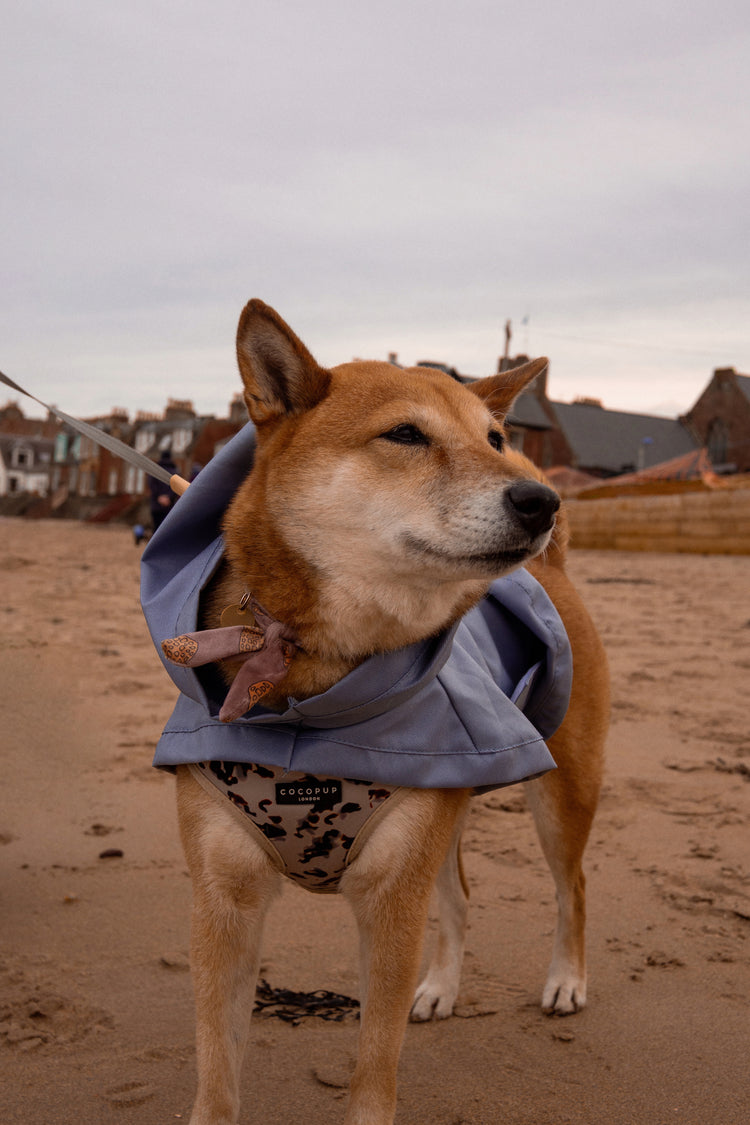 Ivory Tort Adjustable Neck Harness