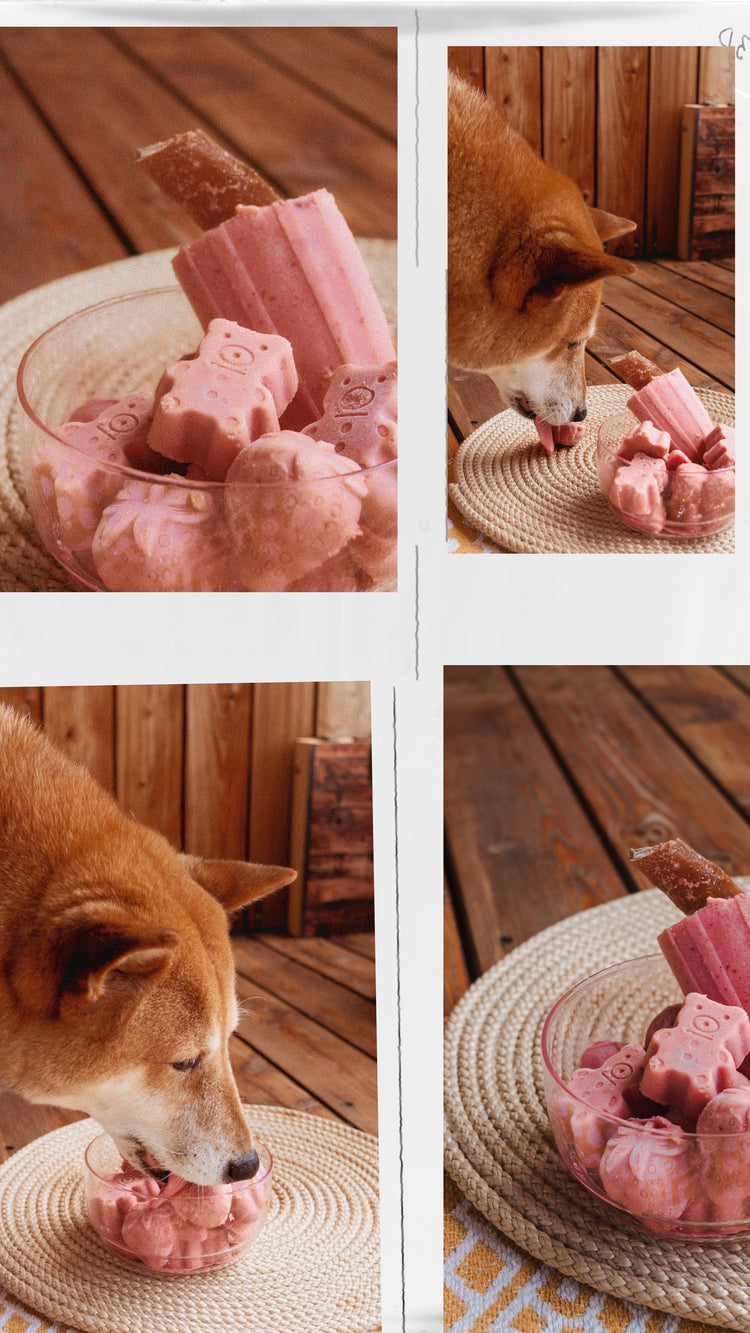Collage of a dog eating pink ice cream treats on a wooden floor.