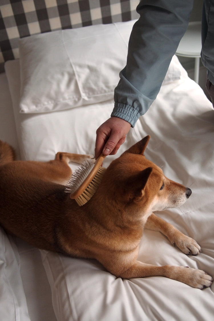 Brosse pour les poils longs et mi-longs