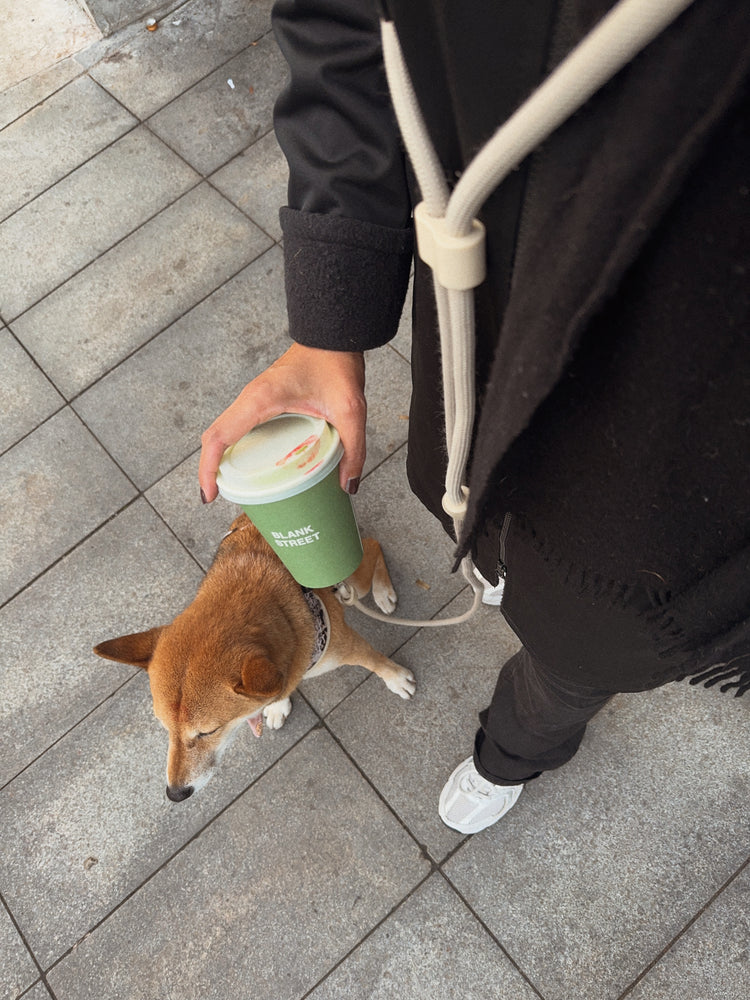 Laisse mains libres – Crème