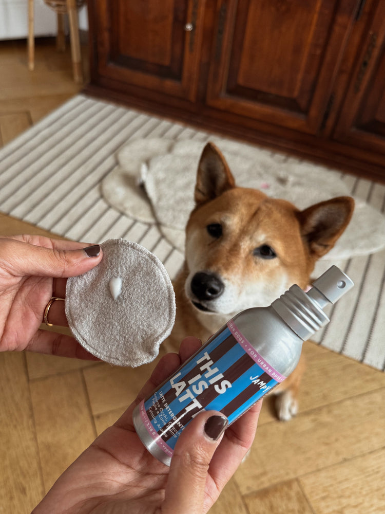 Das ist Latte – Reinigungsmilch für die Augen und Ohren von Hunden