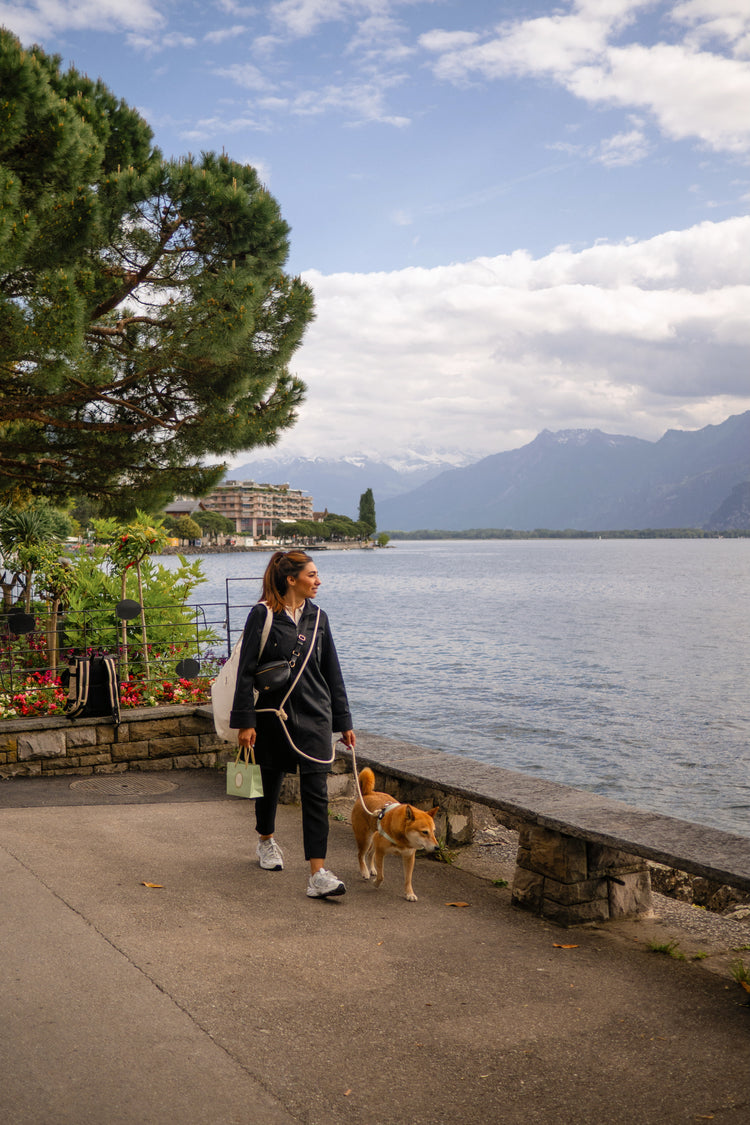 Person walking a dog by a lakeside with mountains in the background