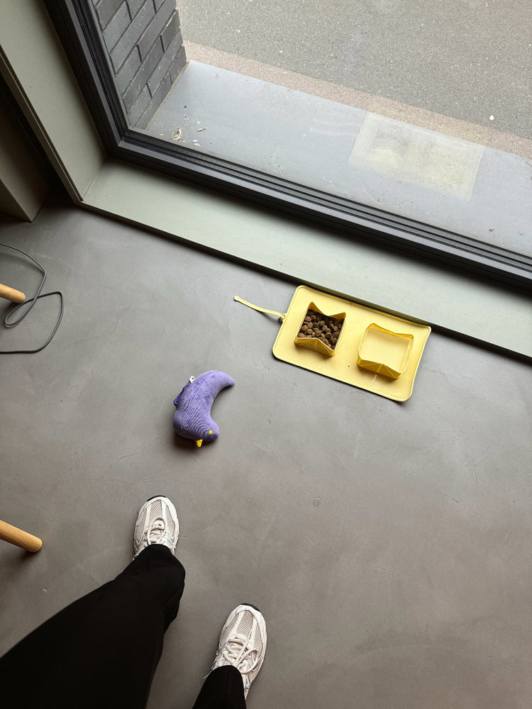 Exemple of dog travel kit with foldable bowls yellow and a purple bird toy for dog.