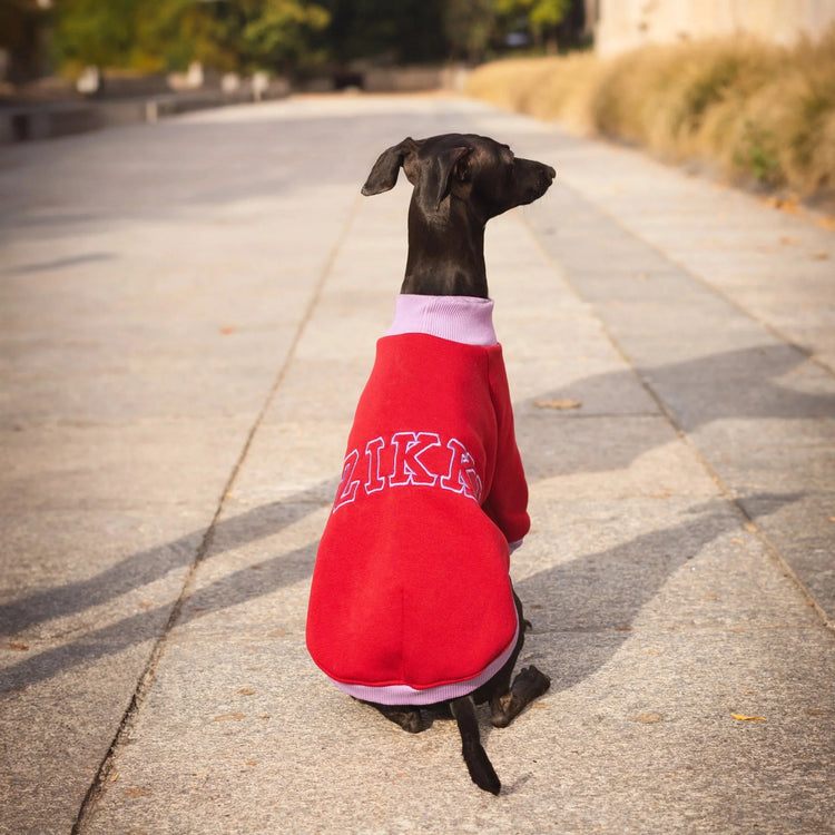 Signature Sweatshirt – Burgundy Velvet & Lilac Bloom