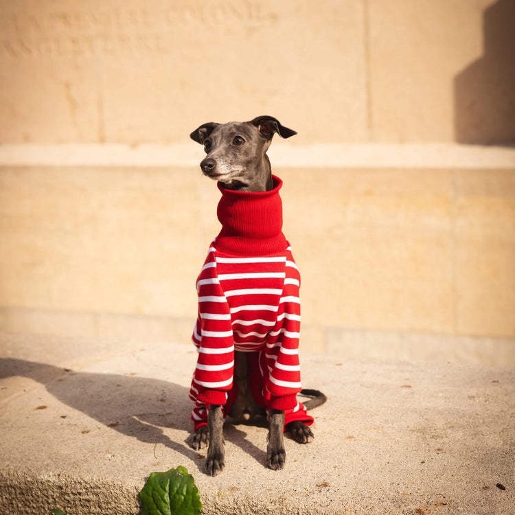 Signature Onesie – Cherry Stripe