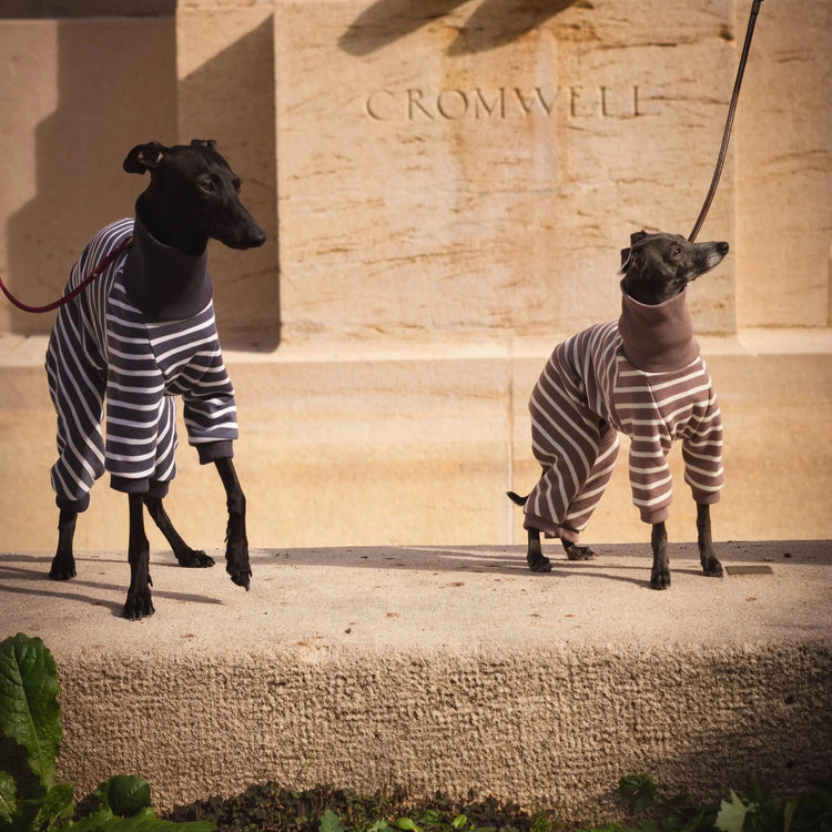 Signature Onesie – Graphite