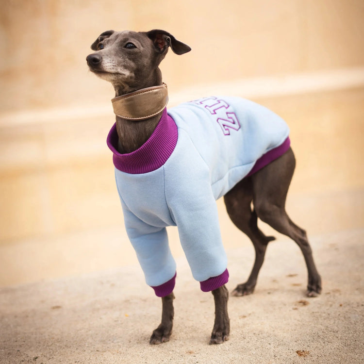 Signature Sweatshirt – Misty Plum & Sky Blue