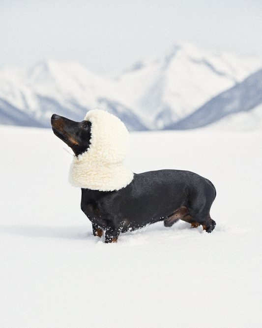 Curly wool balaclava