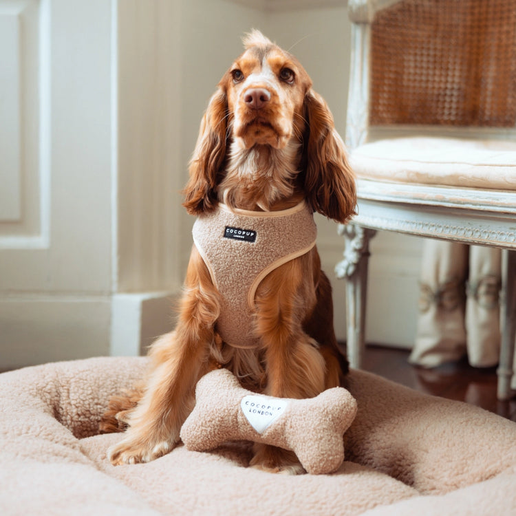 Imbracatura per il collo regolabile dell'orsacchiotto