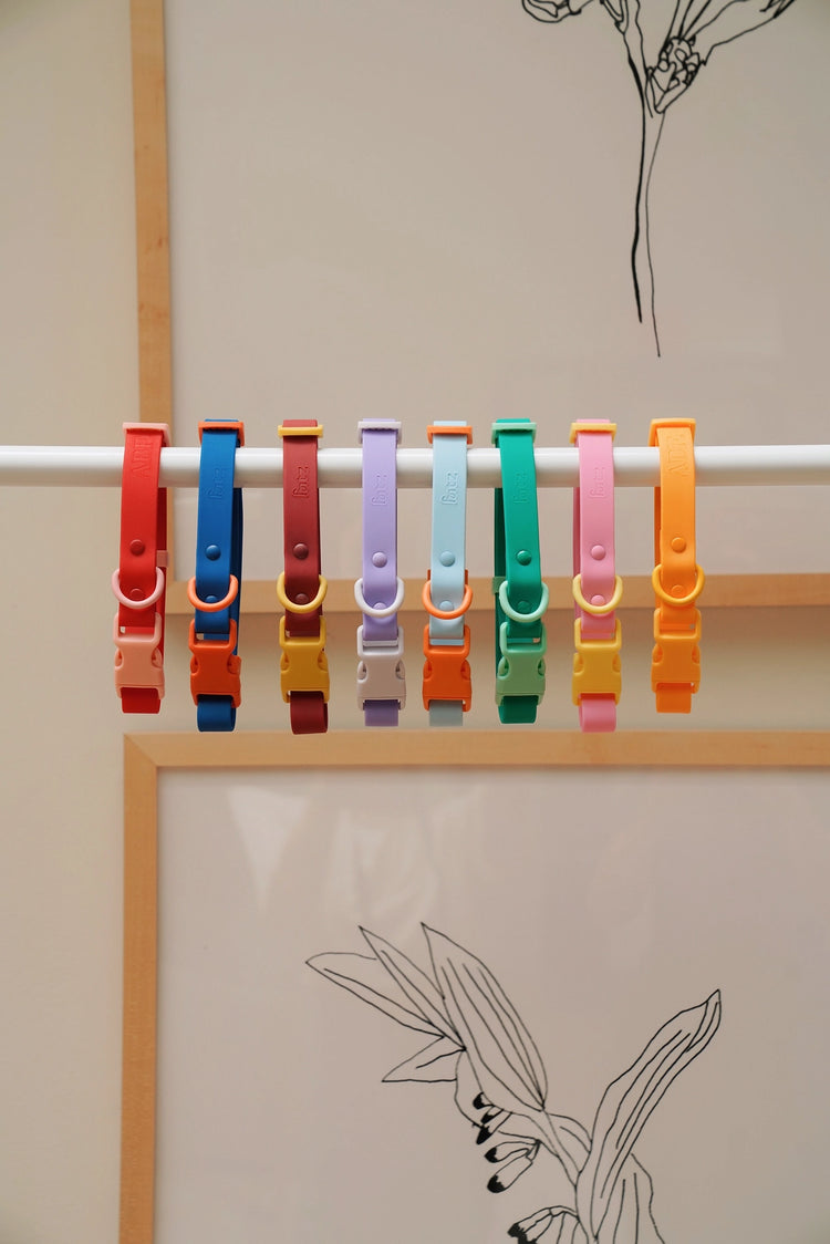 The Fritz Collar – Baby Blue