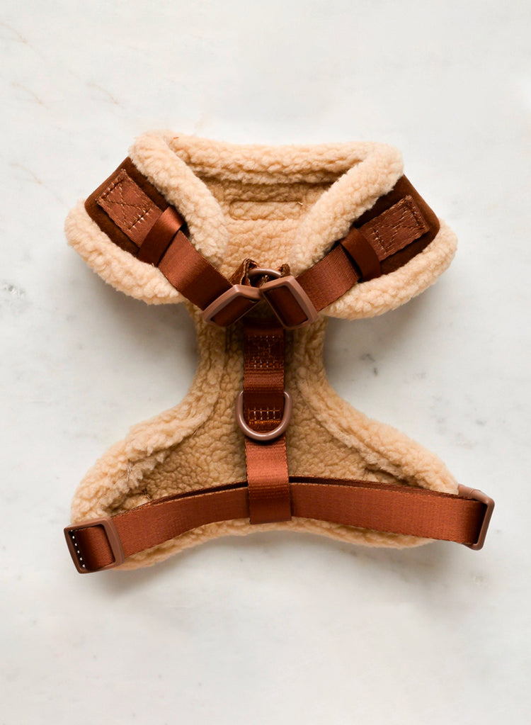 Aviator Harness – Brown