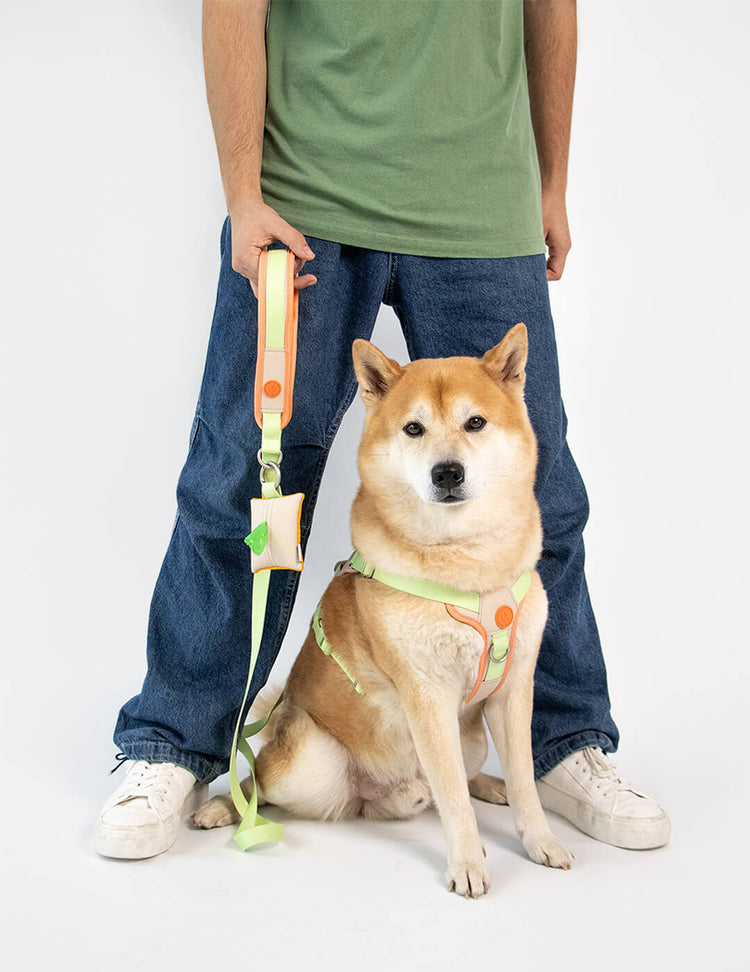 Qisu Poop Bag – Green