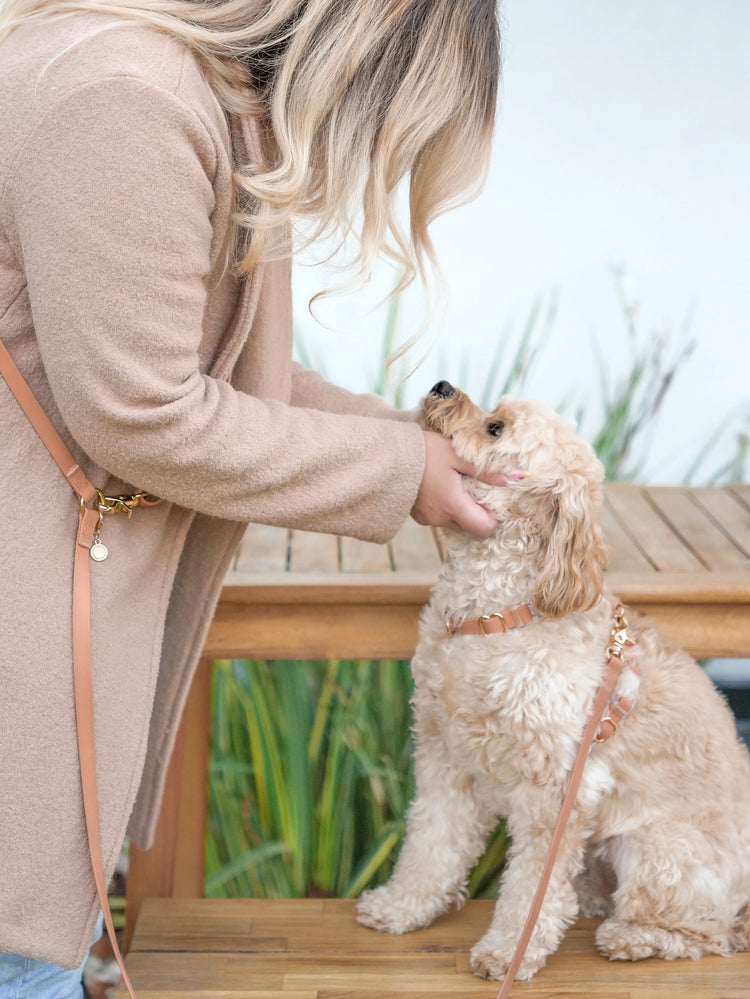 Cloud Lite Dog Harness – Chai Brown