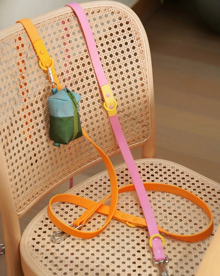 The Fritz Leash – Pink & Yellow - Kitsune & Jo