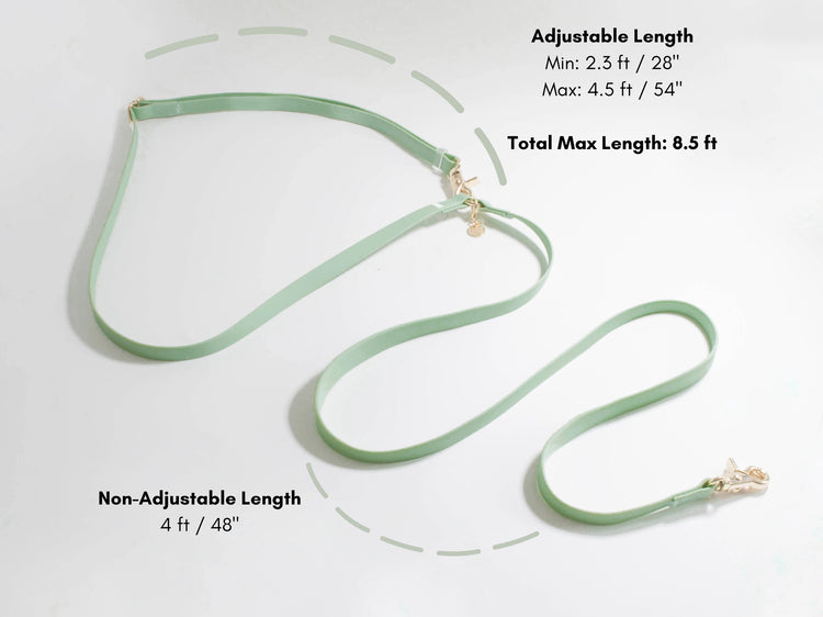 Laisse mains libres convertible 4 en 1 – Pistache