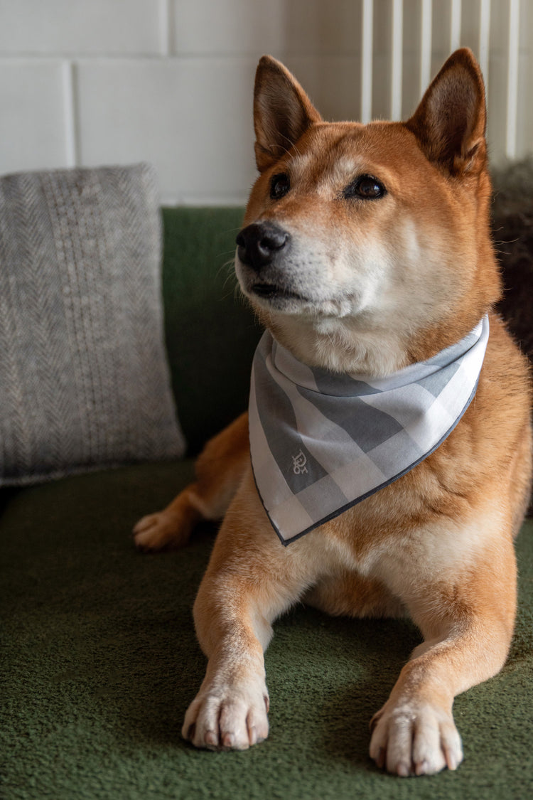 Curated designer bandana by Objet Second