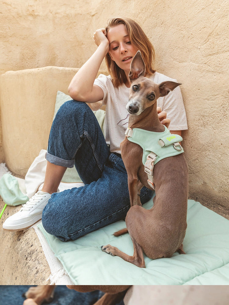 Hug Harness – Mint