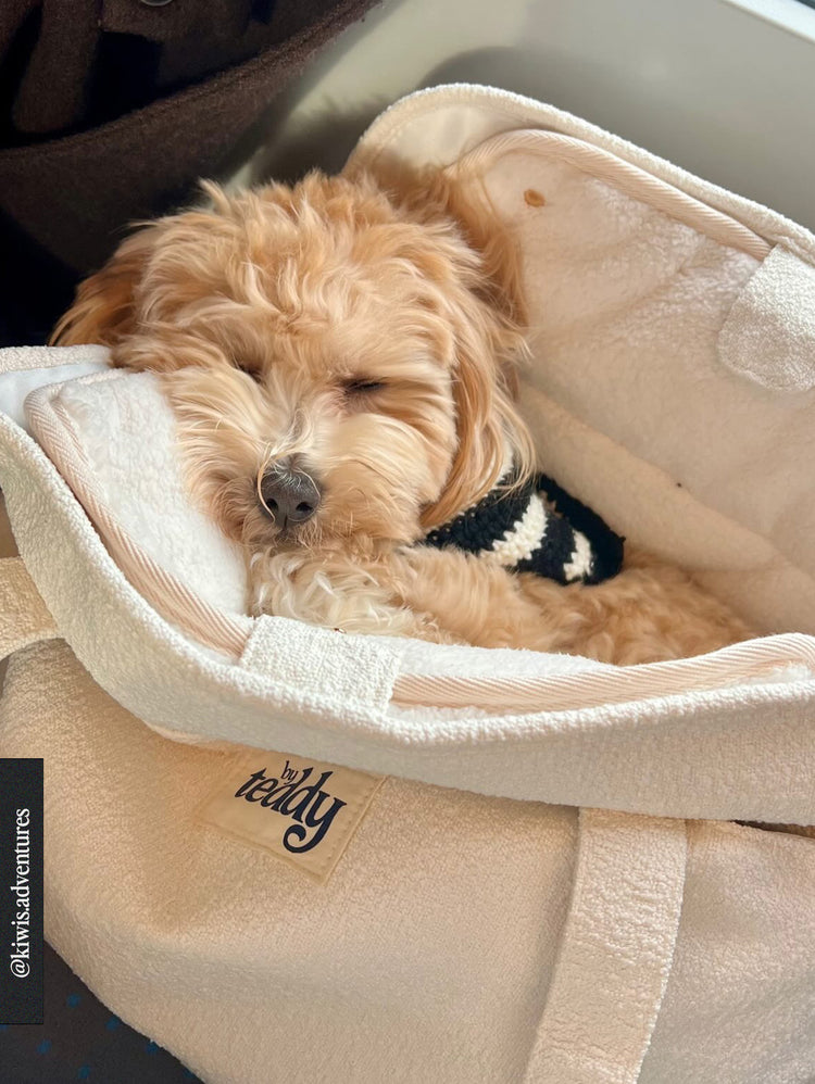 il Portatore Bouclé – Marshmallow