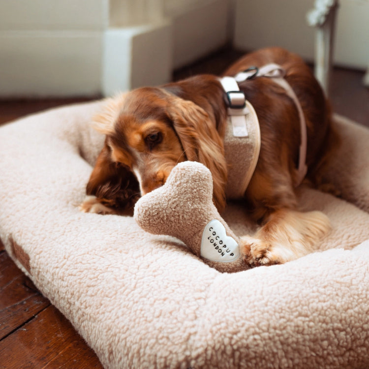 Giocattolo in osso Teddy Rupert