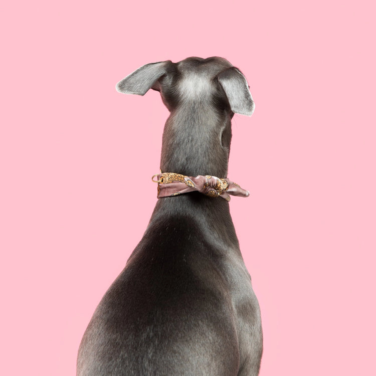 Necktie – Beurre de cacahuète