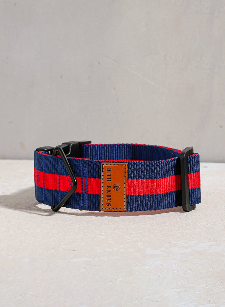The City Dog Collar – Rue Saint-Honoré