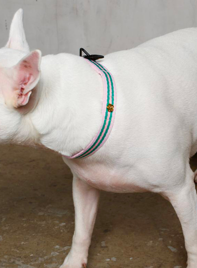 Le Classic Dog Collar – Rue la rose