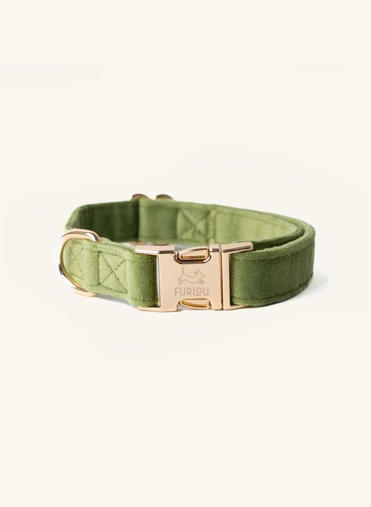 Green velvet collar