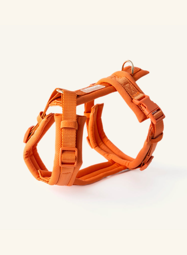 Terracotta dog harness made by Furlou on a white background