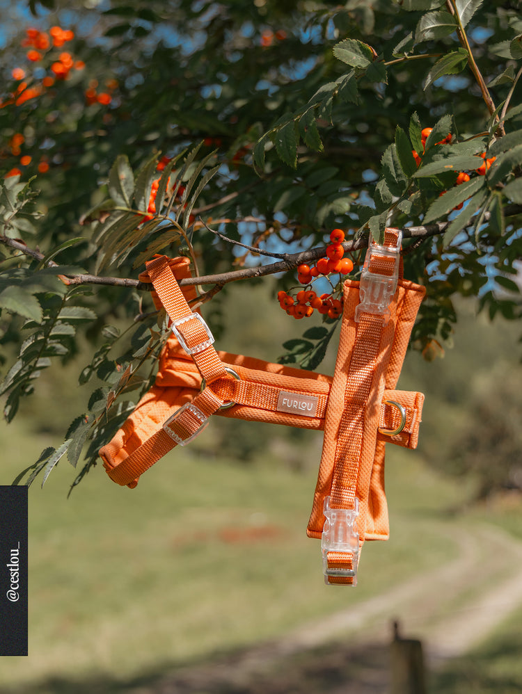 Comfort Harness – Terracotta